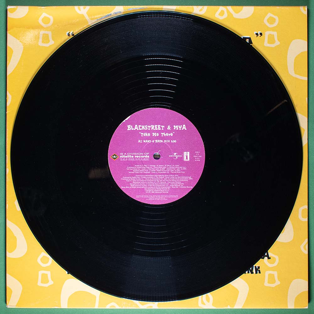 The Rugrats Soundtrack: Blackstreet & Mya - Take Me There (Single LP) - Image 4