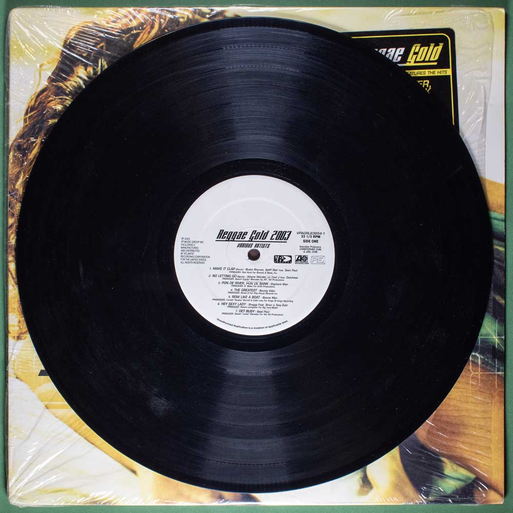 Various Artists - Reggae Gold 2003 (LP) - Image 3