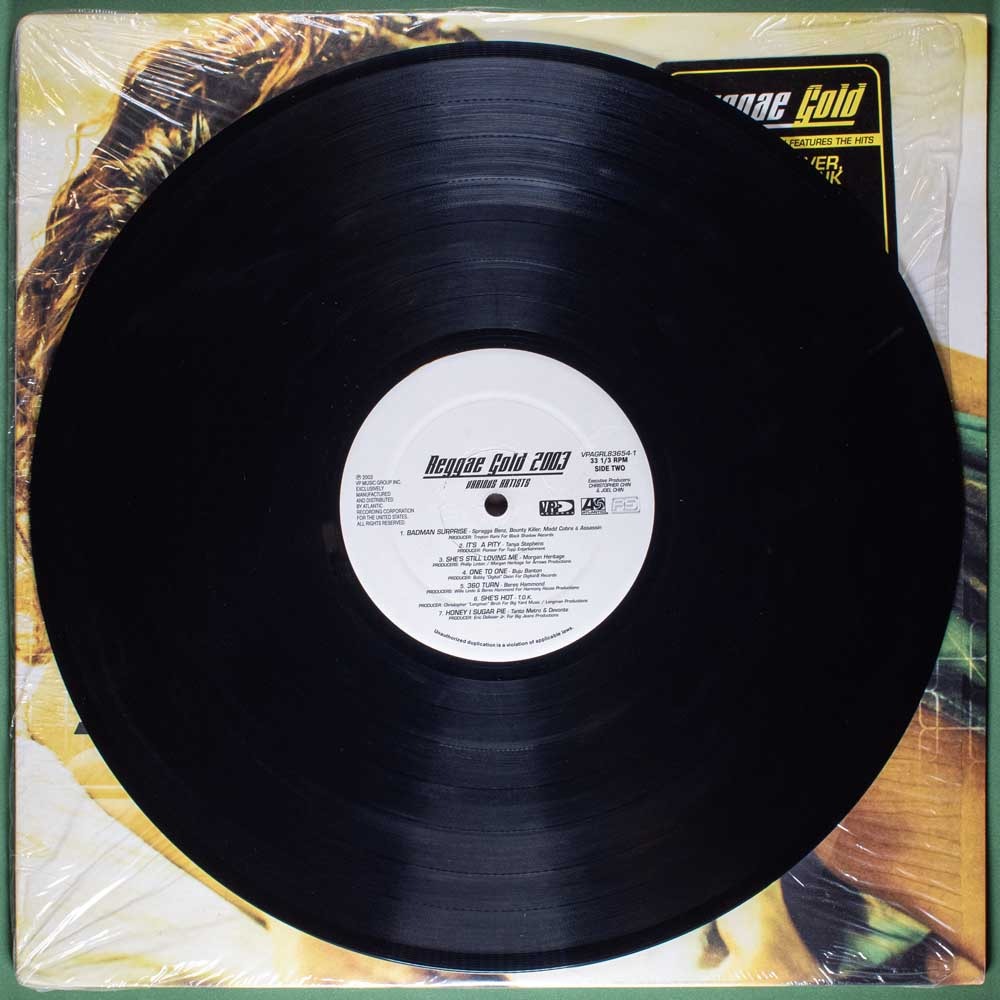 Various Artists - Reggae Gold 2003 (LP) - Image 4