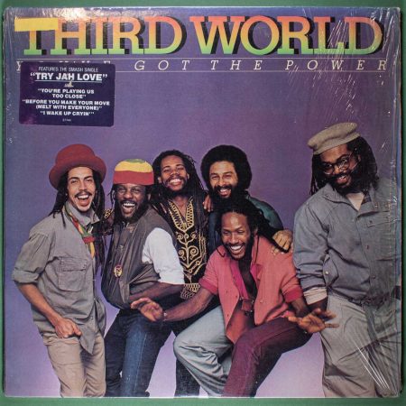 Third World - You've Got The Power (LP)