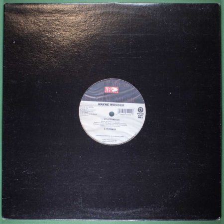 Wayne Wonder - No Letting Go (Single LP)