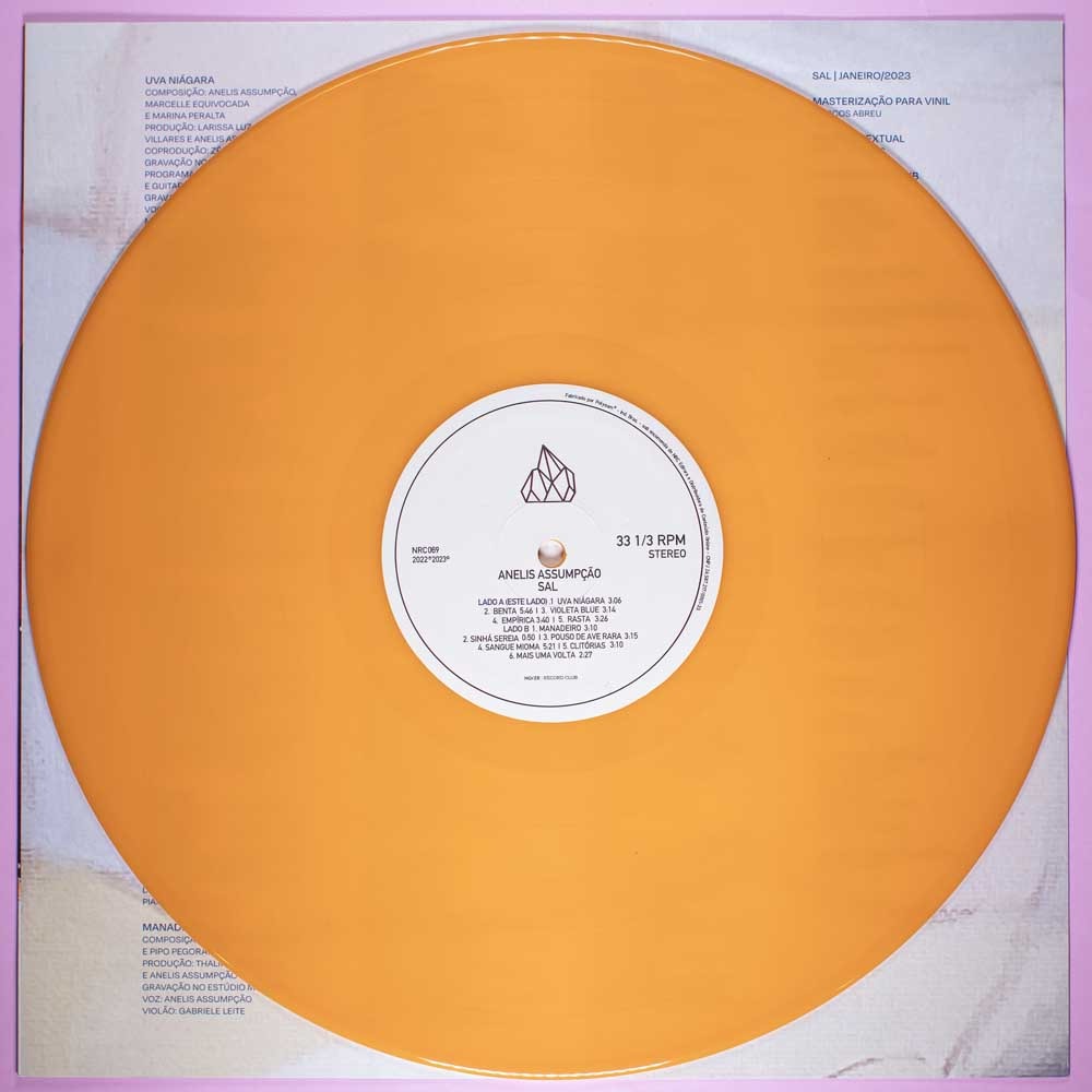 Anelis Assumpção - SAL (LP) - Image 5