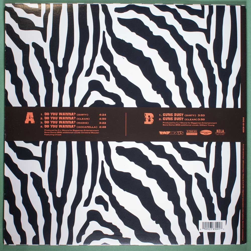 Akinyele - Do You Wanna? (Vinil EP Single Importado) - Imagem 4