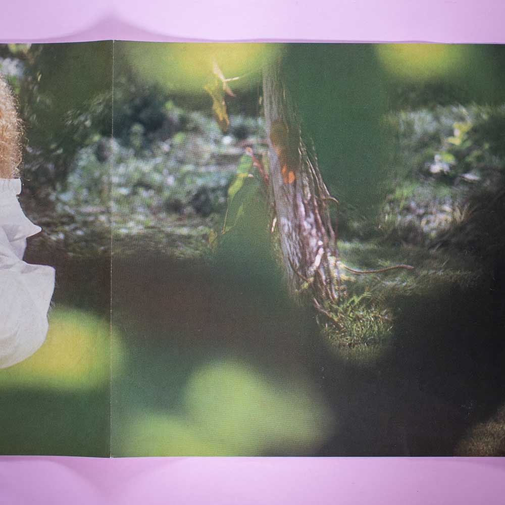 Elba Ramalho - ELBA 1987 (Vinil LP) - Imagem 5