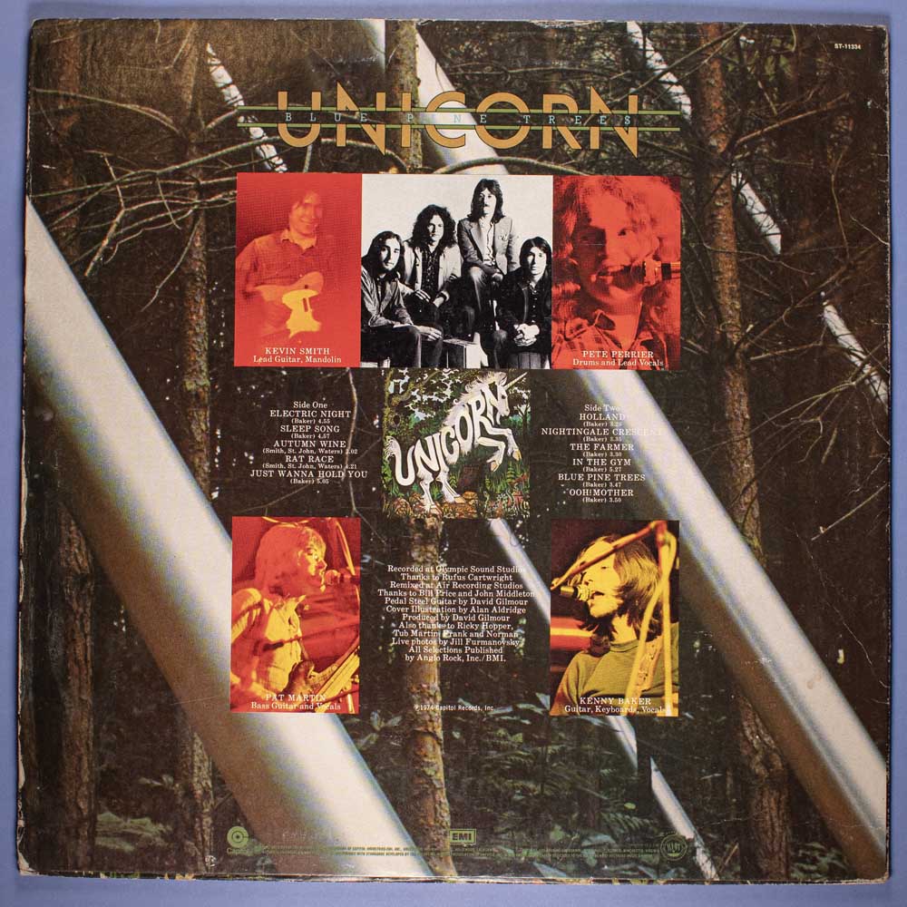 Unicorn - Blue Pine Trees (Vinil LP Importado) - Imagem 4